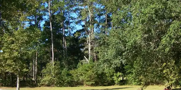 00 Fairway Lane