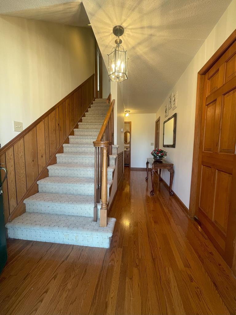 Image 3: Photo 2