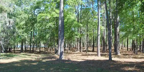 TBD Cottage Dr