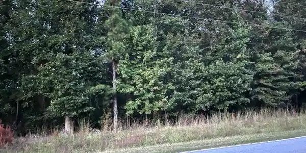 tbd White Oak Drive