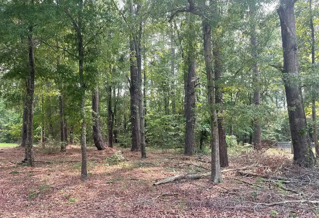 Image 1: Main View
