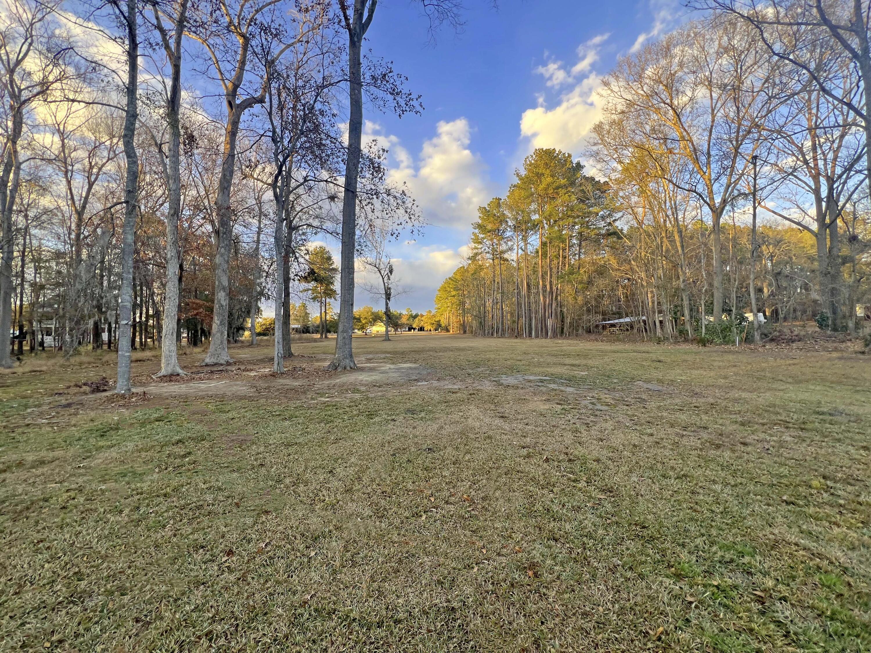 Image 1: lot main cuddo