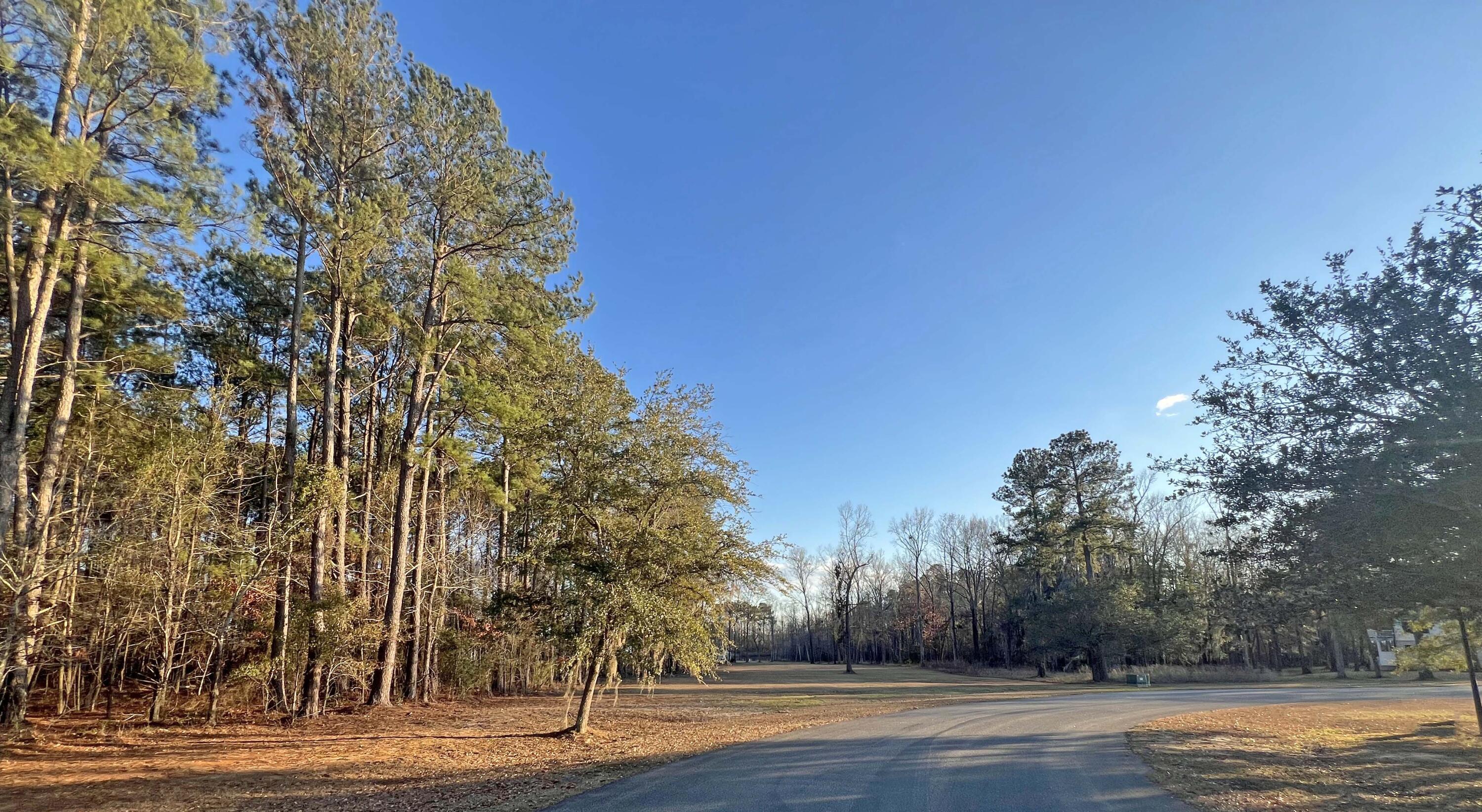 Image 4: Cuddo lot 3