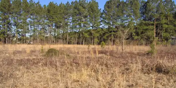 00 Lot 23,24,25 Newfield Cr,