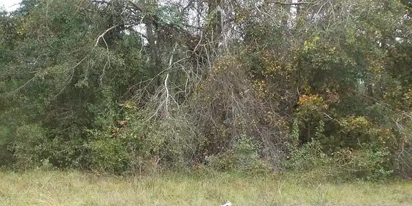 Lot 23 Newfield Circle