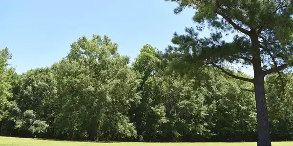 80 Ridge Lake Dr. ( B-27)