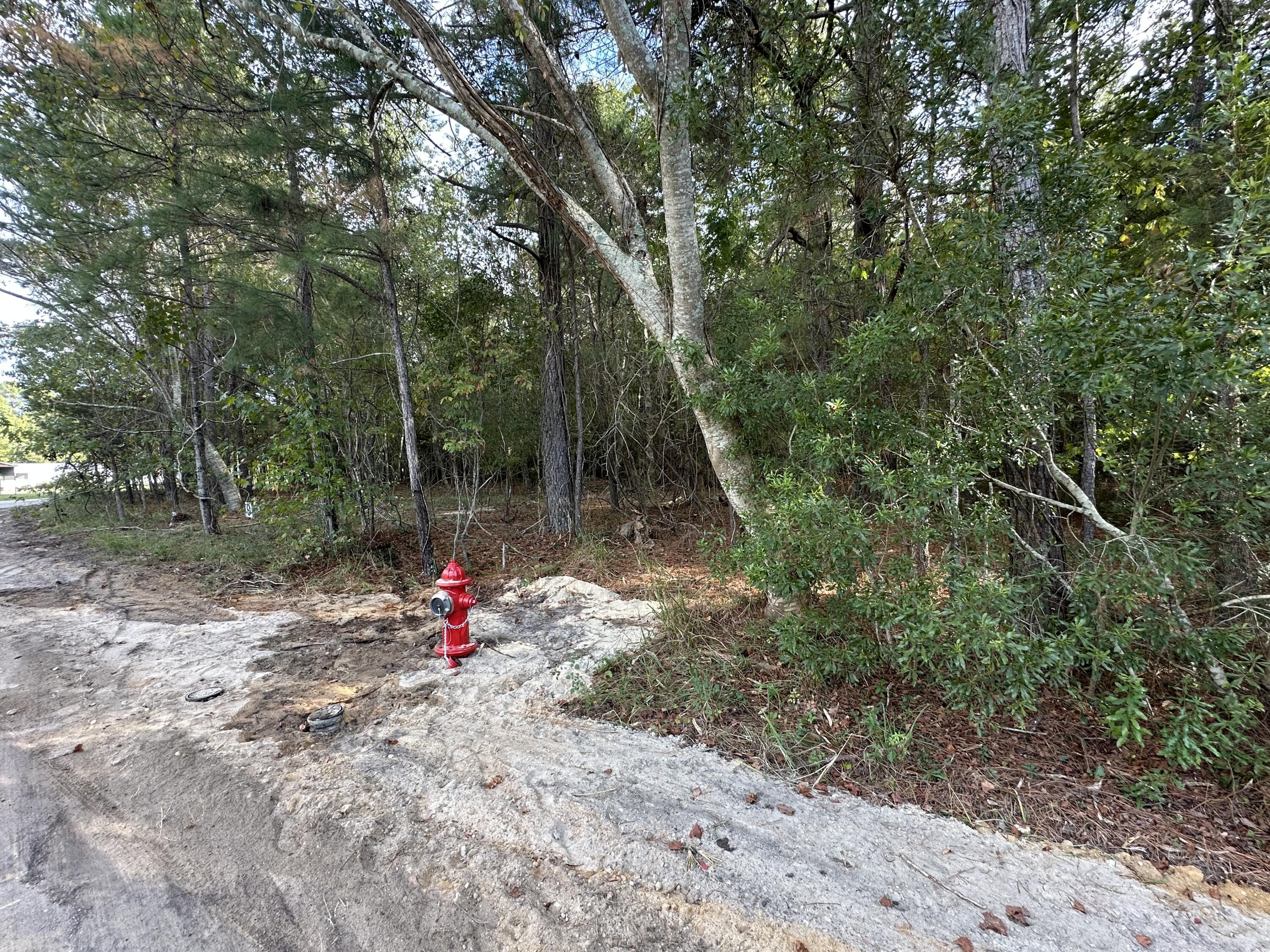 Image 3: IMG_5491