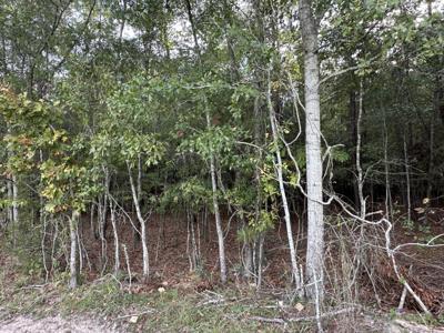 1212 (lot 8) Hudson