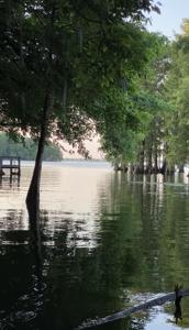 10 Hickory Landing Court