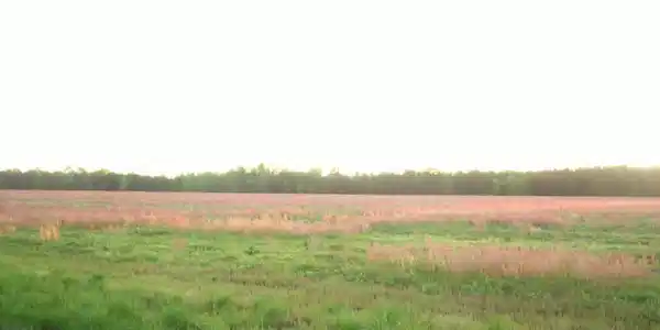 0 Whitetail Lane