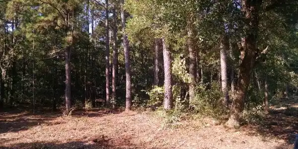00 Tucker Road