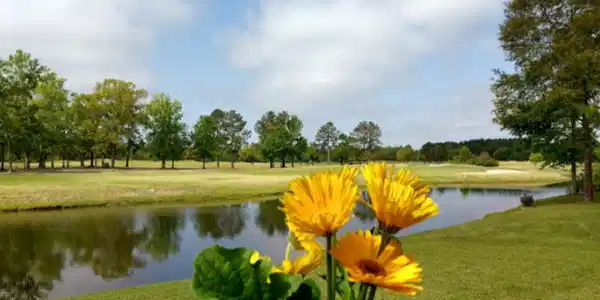 1105 Blue Heron Point