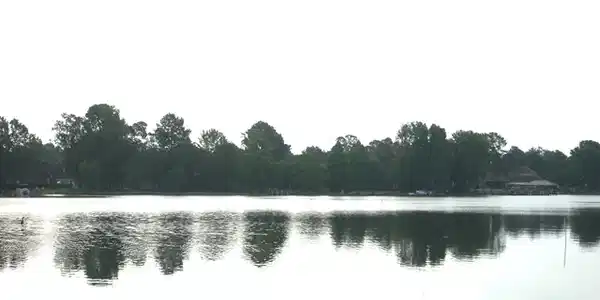 56 Woodlake Drive C-20