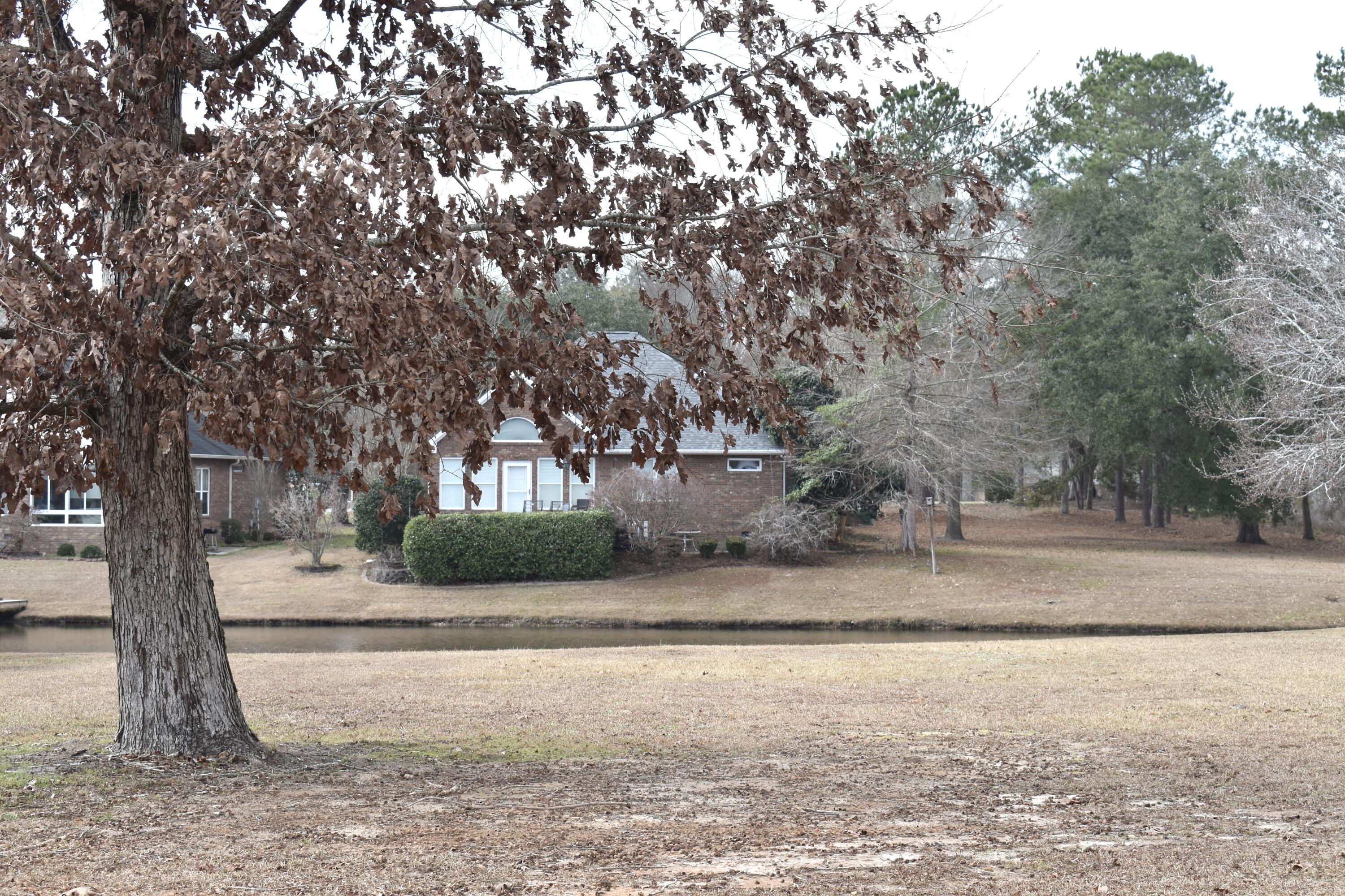 Image 2: DSC_0085