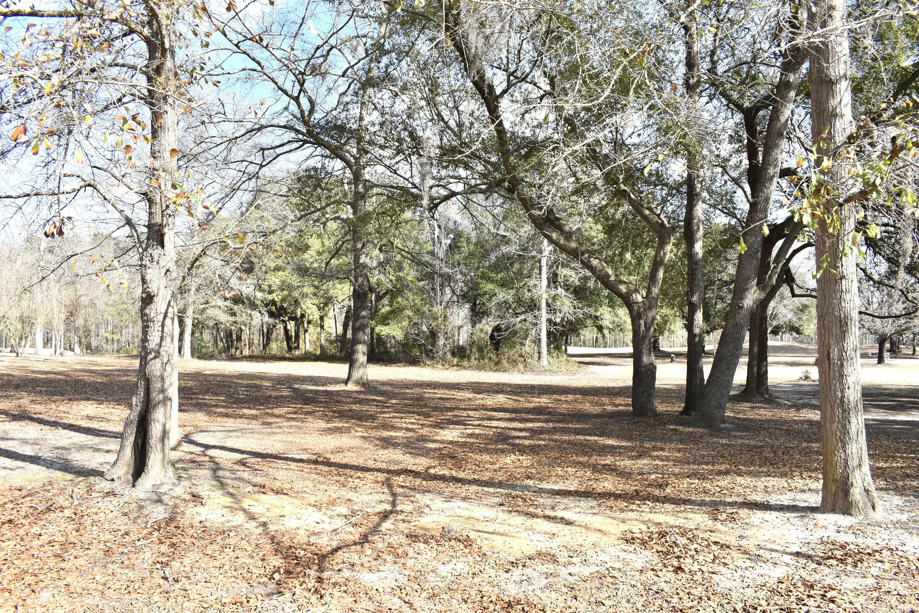 Image 2: DSC_0061 2