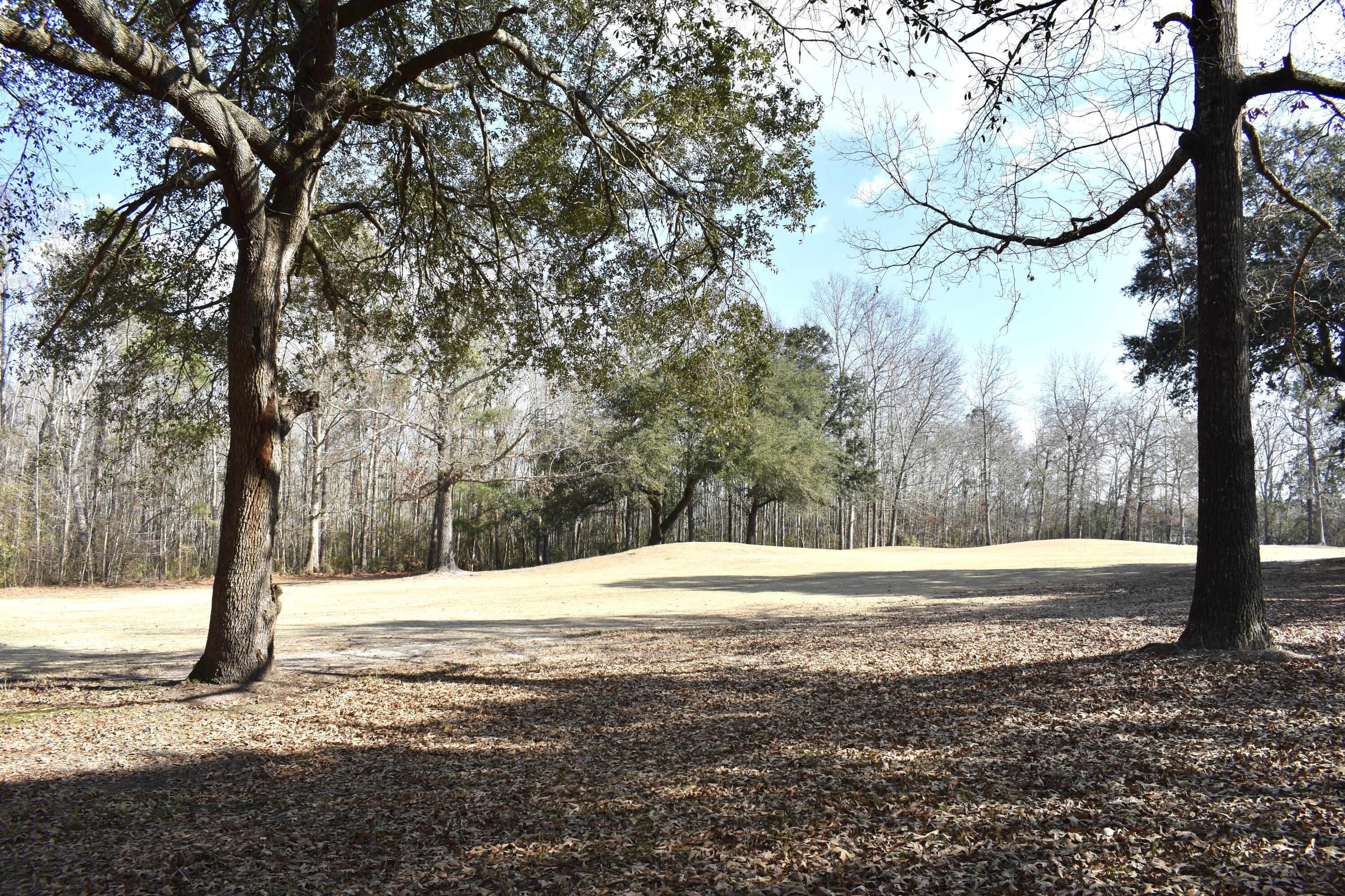 Image 3: DSC_0062 2