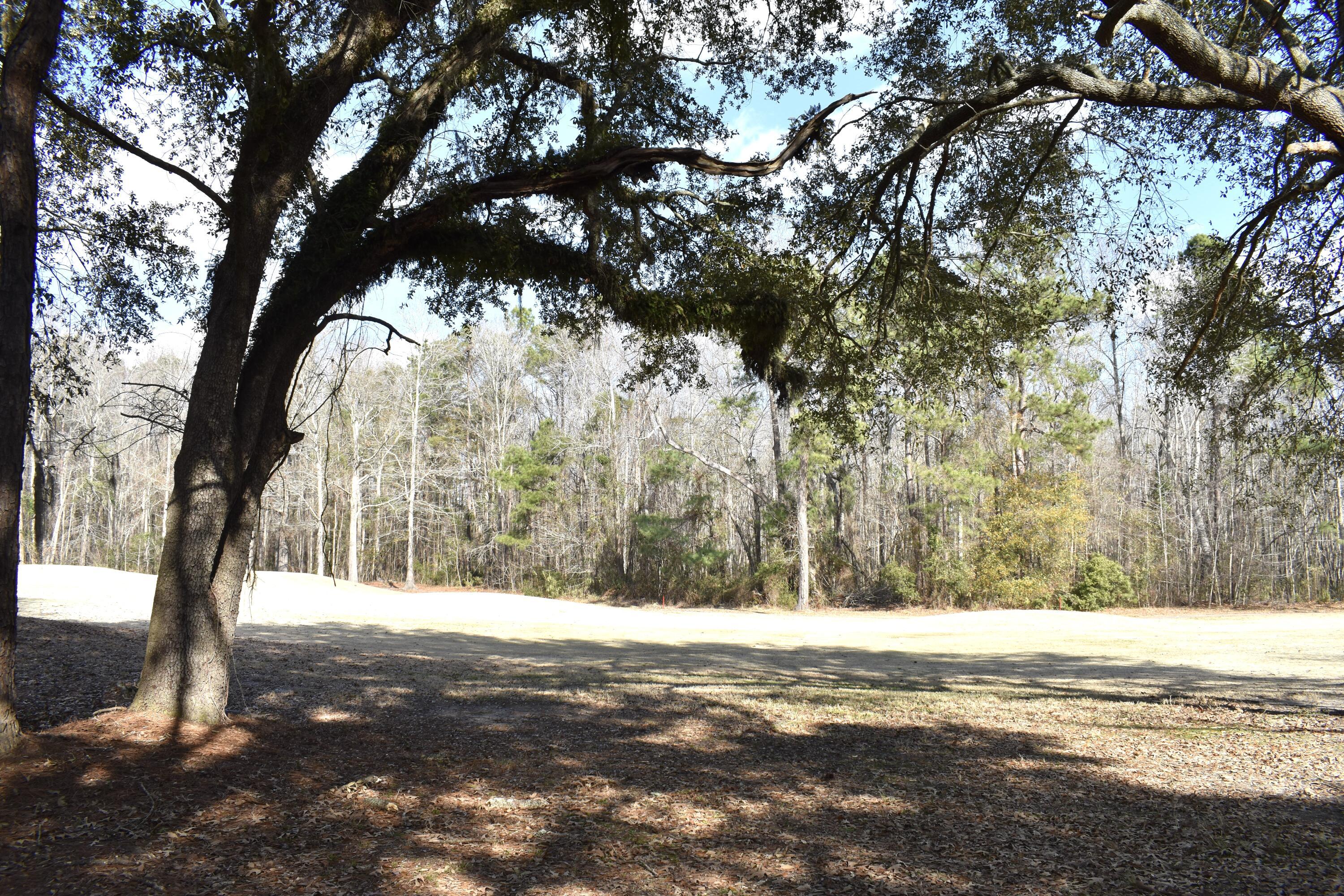 Image 4: DSC_0063 2