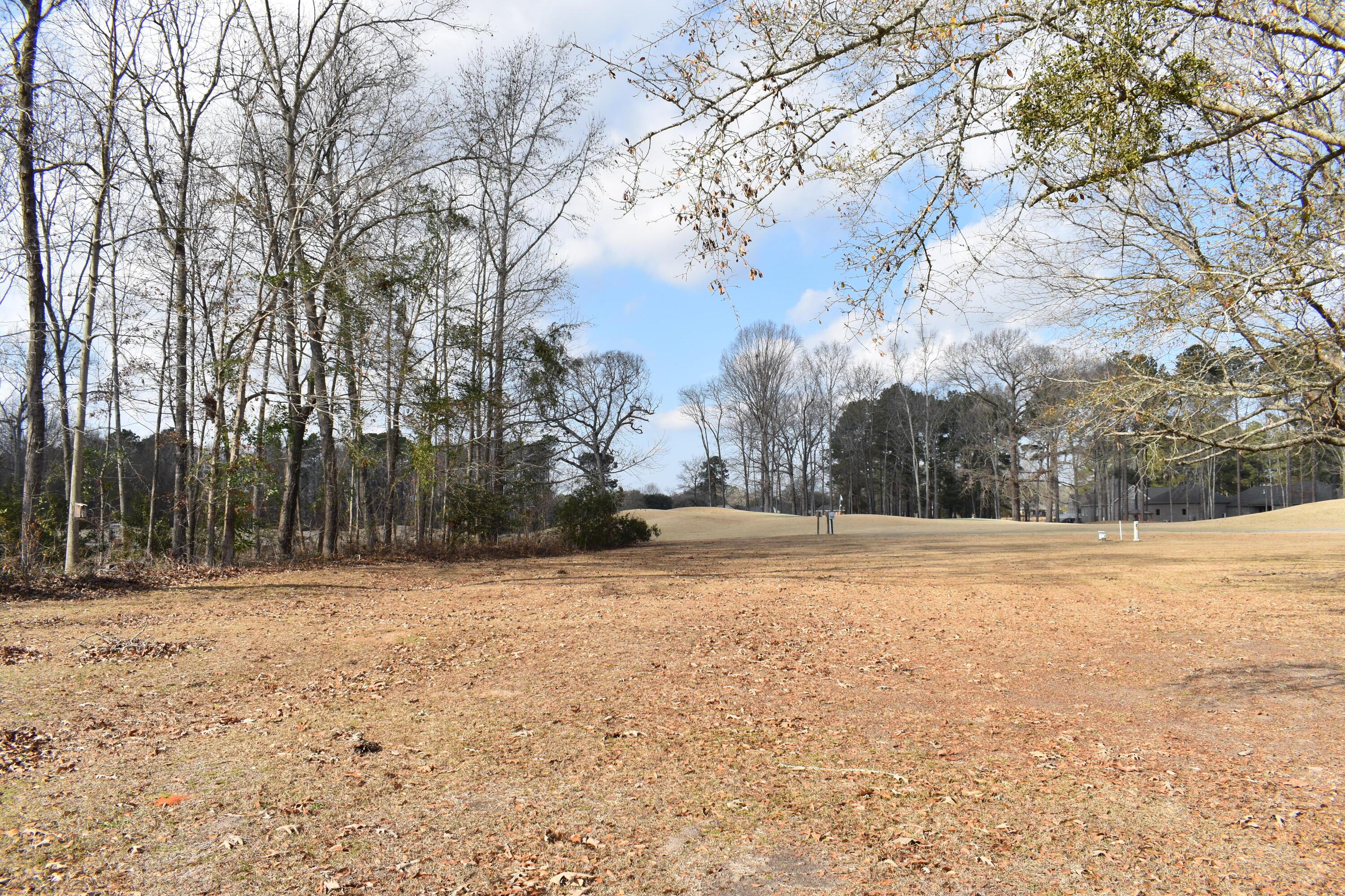 Image 3: DSC_0082
