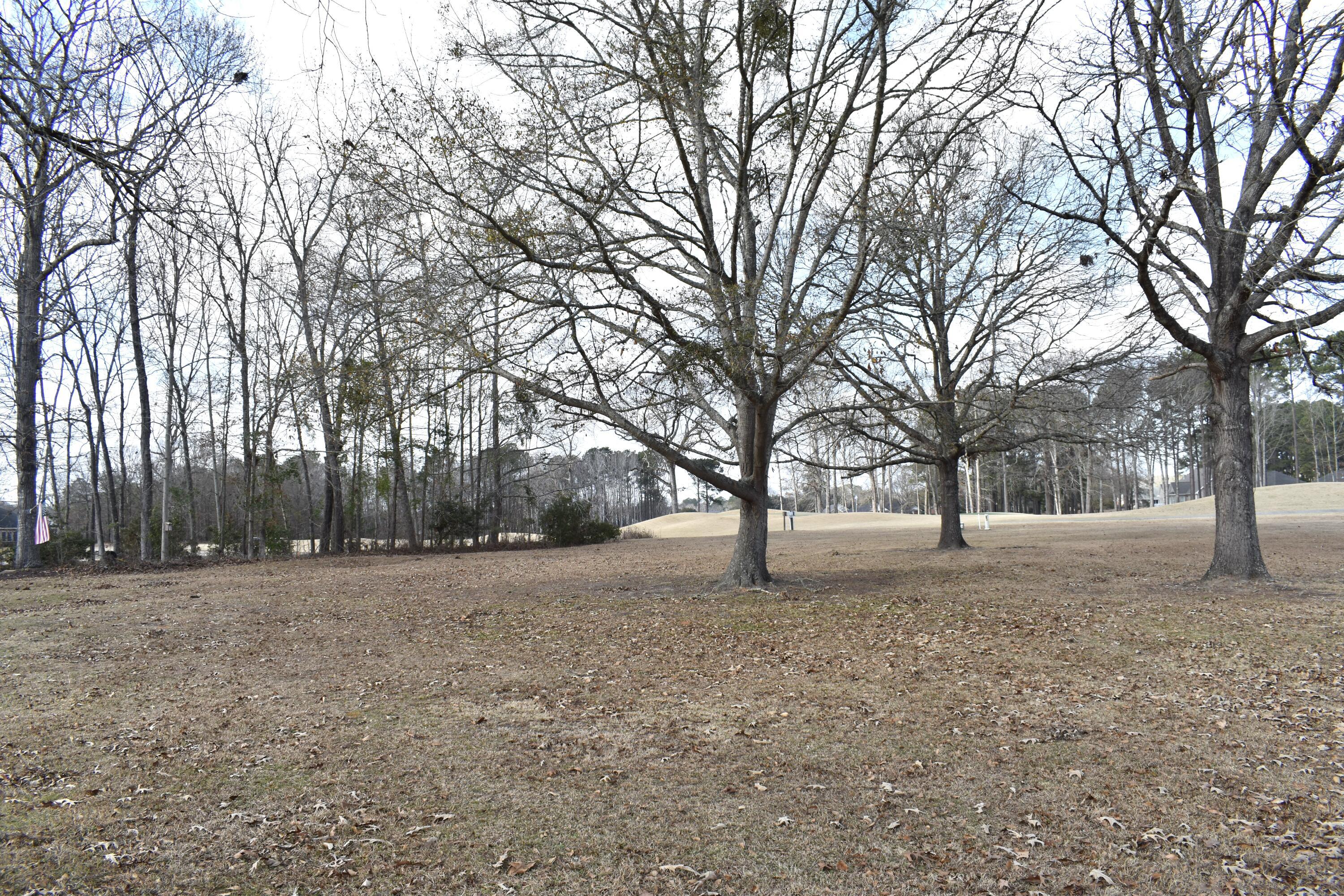 Image 4: DSC_0083