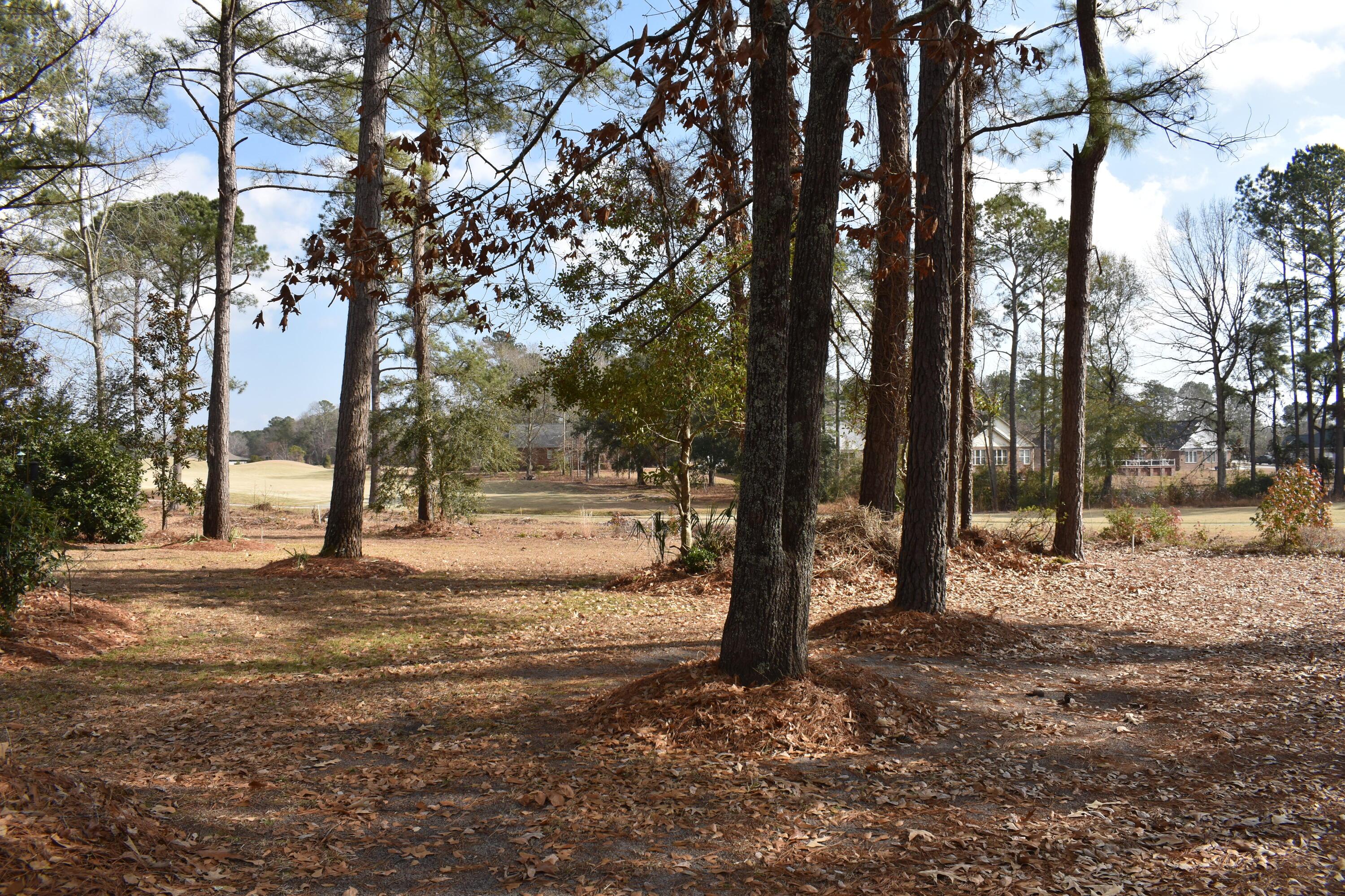 Image 2: DSC_0091