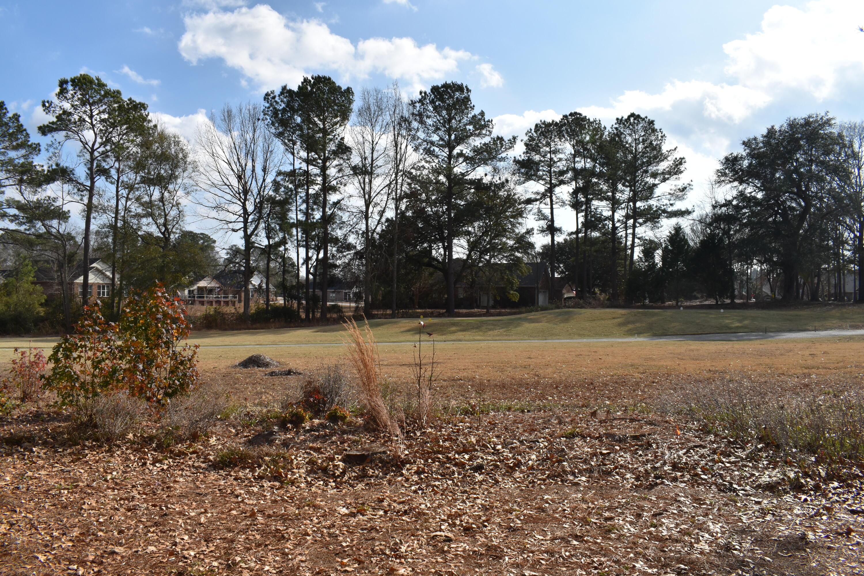 Image 3: DSC_0093