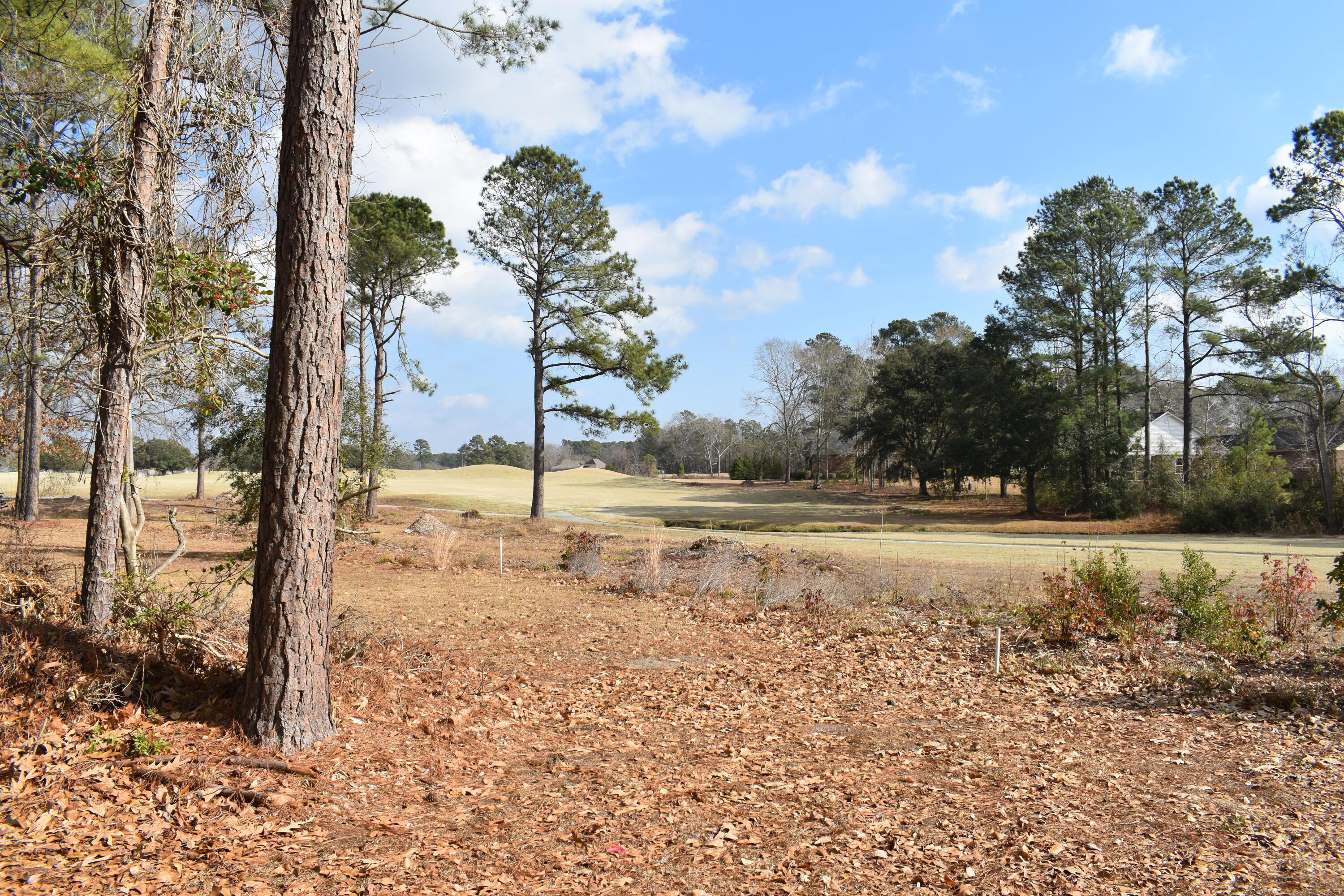 Image 4: DSC_0094