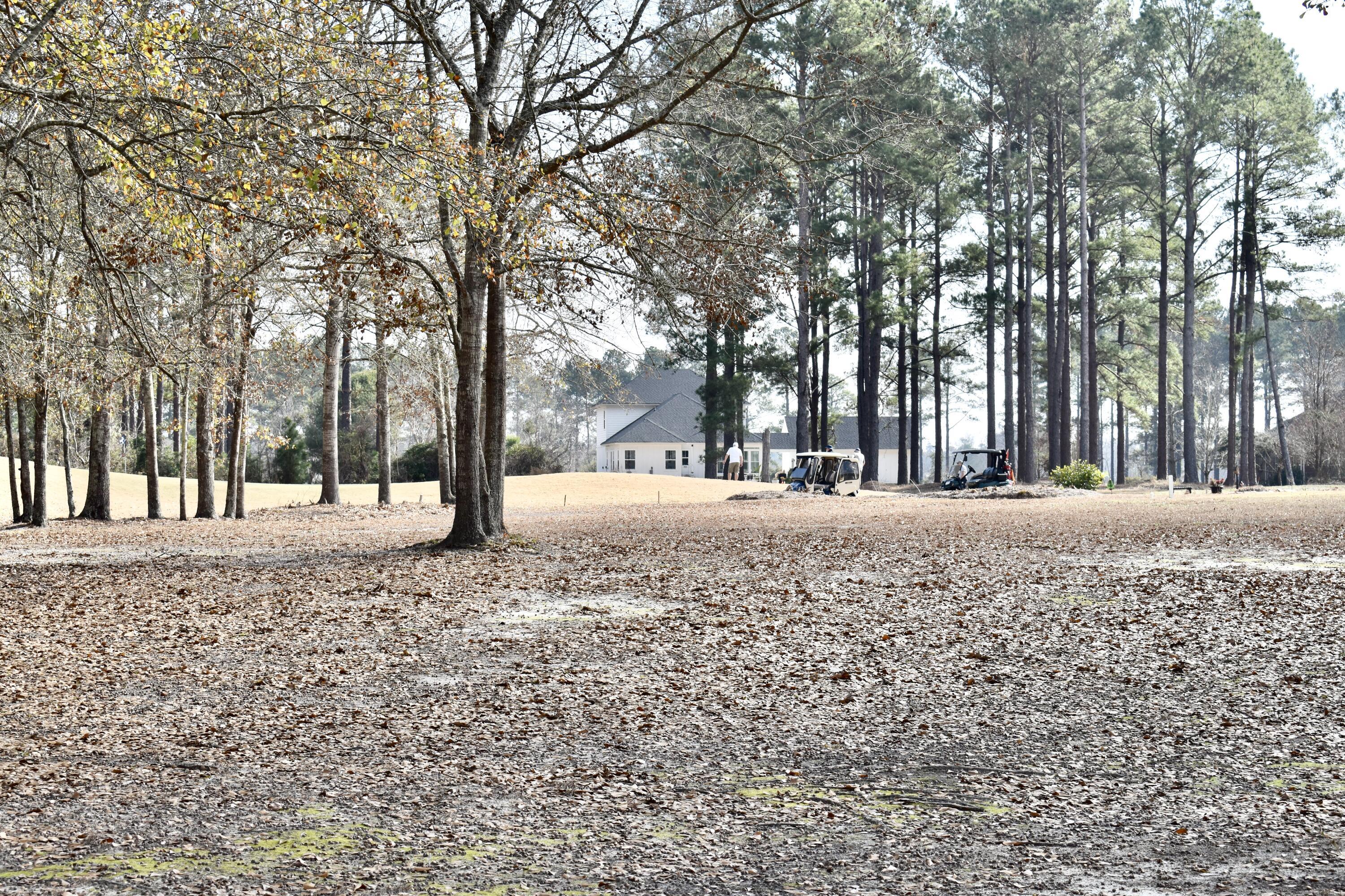Image 2: DSC_0070