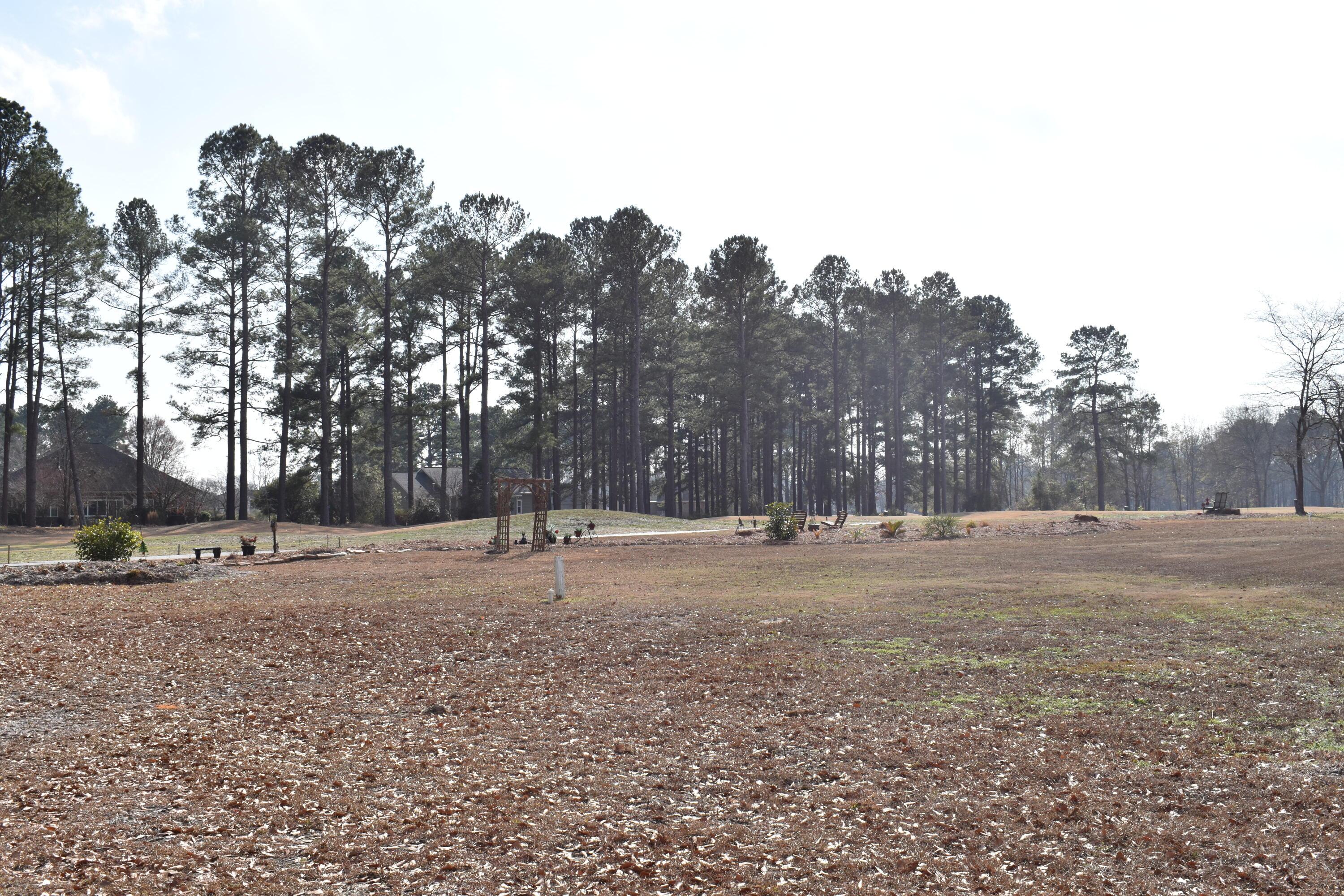 Image 4: DSC_0073