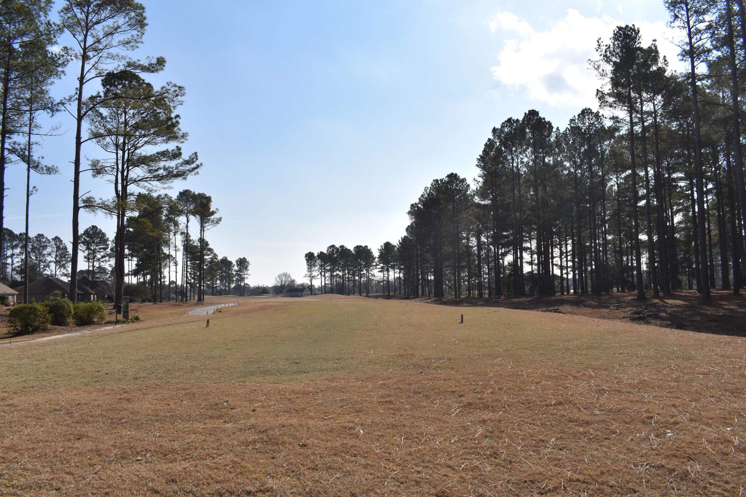 Image 3: DSC_0067