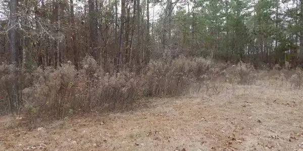 Lot 56 Sorin Circle