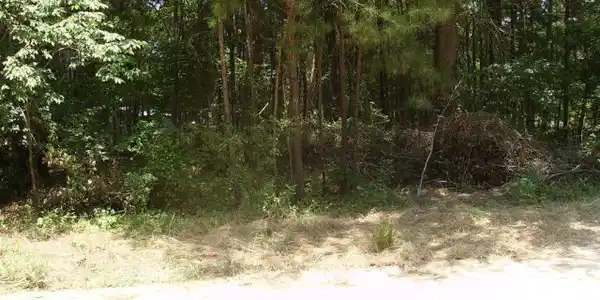 0 pocohontas rd