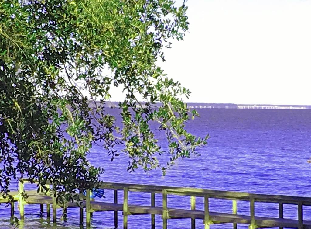 1022 St. Julien, Eutawville, SC lhrmls00443418