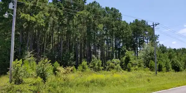 00 Old River Rd