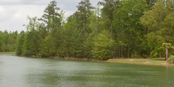Lot # 29 Poplar Creek Dr