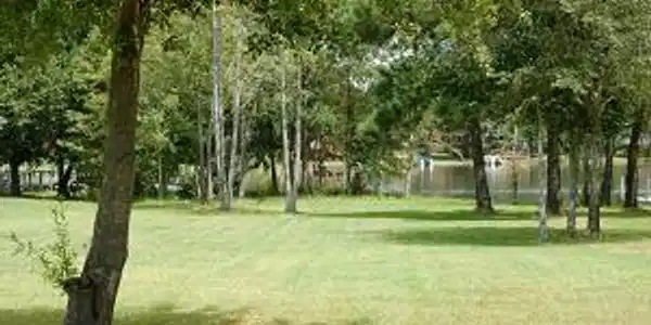 48 Woodlake  (C-22)