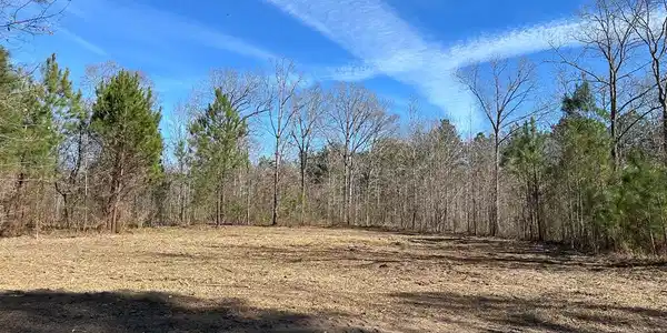 Tract 4 Cotton Ln