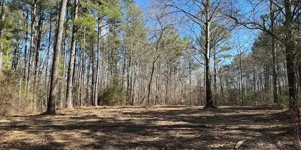 Tract 5 Cotton Ln.