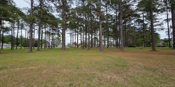 402 Pinelake Court