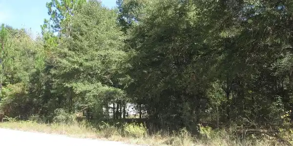 Lot 86 Birch Drive