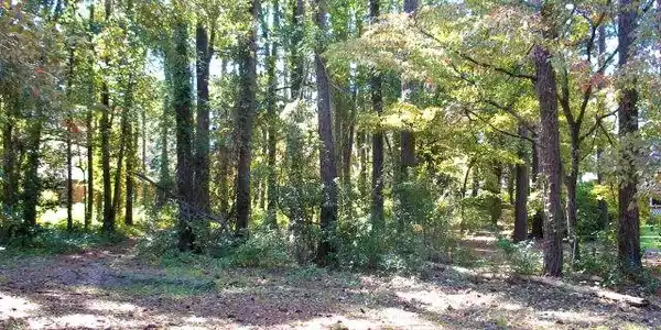 115 Wateree Dr