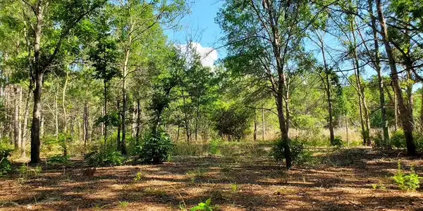 1072 Wild Rose Court