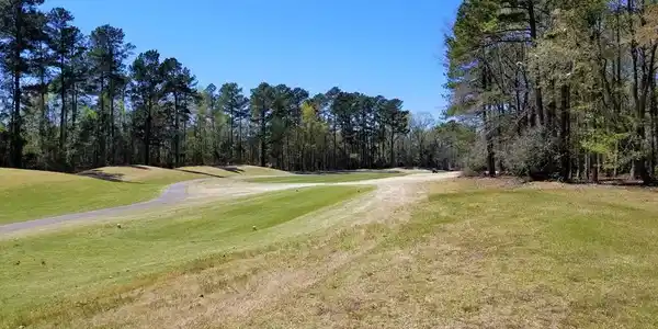 Lot 11 Birdie Court