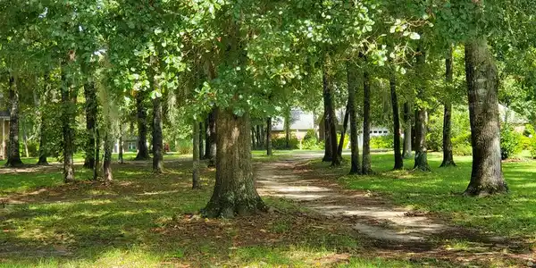 264 Ridge Lake Drive (Lot 29)