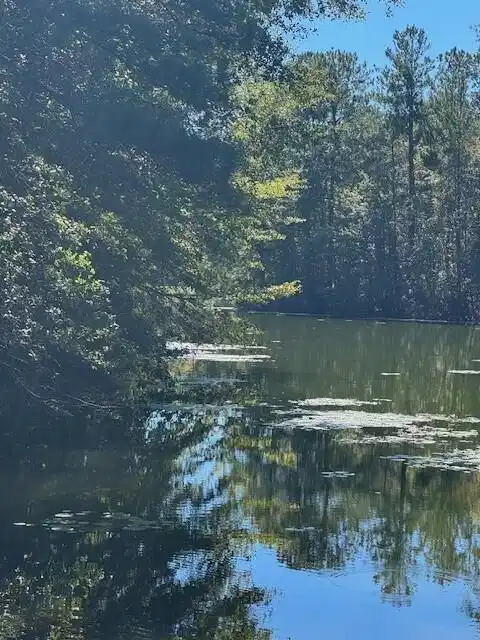 Image 1: poplarcreek7