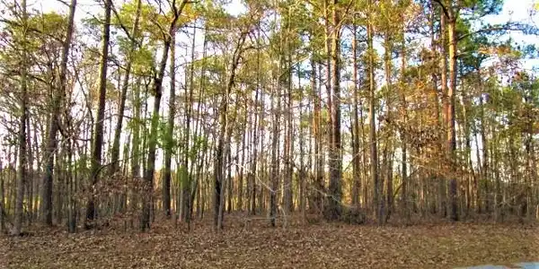 Lot 59 Sorin Cir