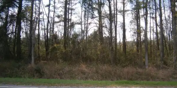 01 HWY 15 & I-95