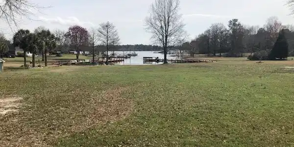 TBD Carving Trace