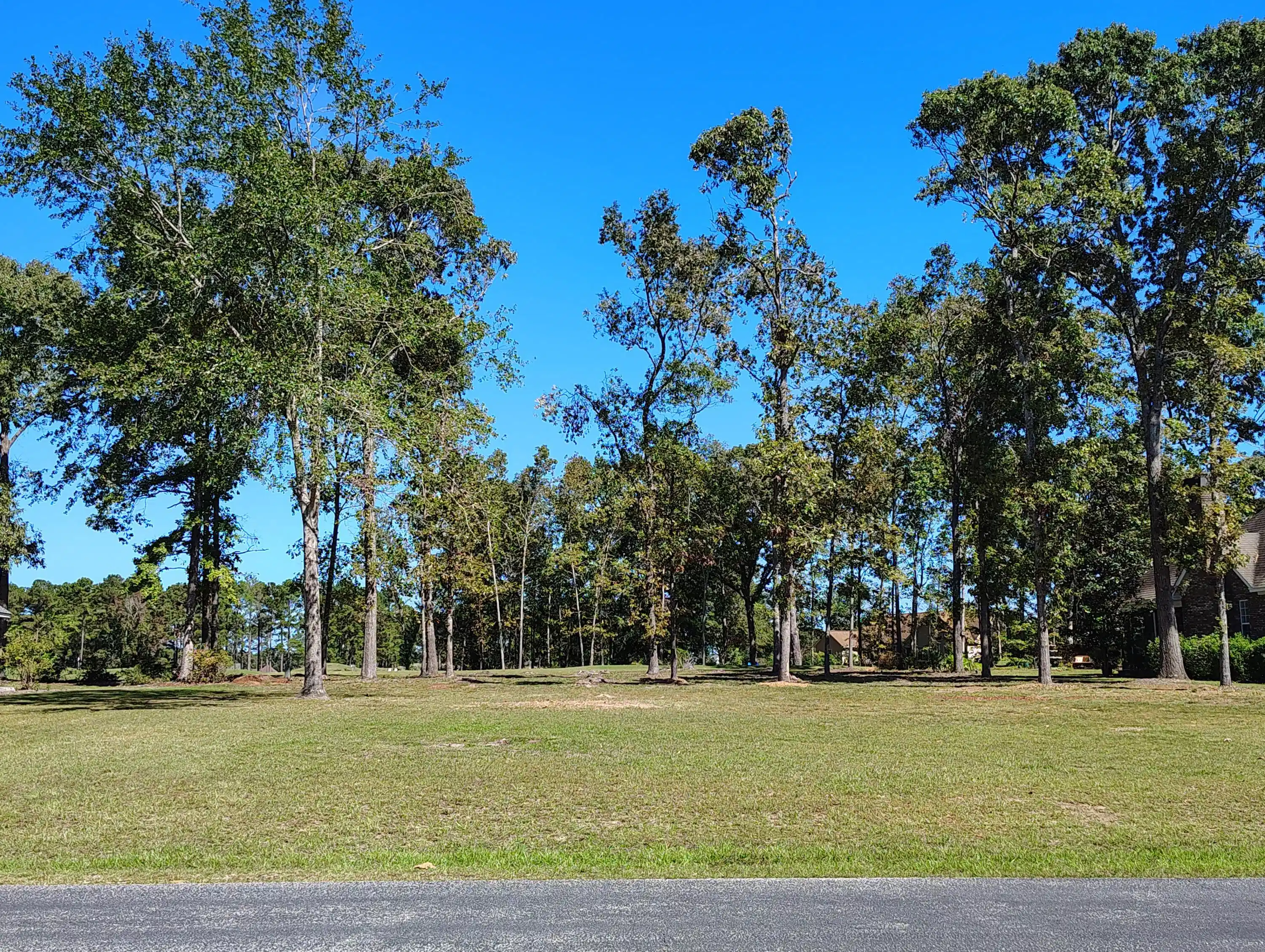 Image 1: IMG_20251003_134652430_HDR