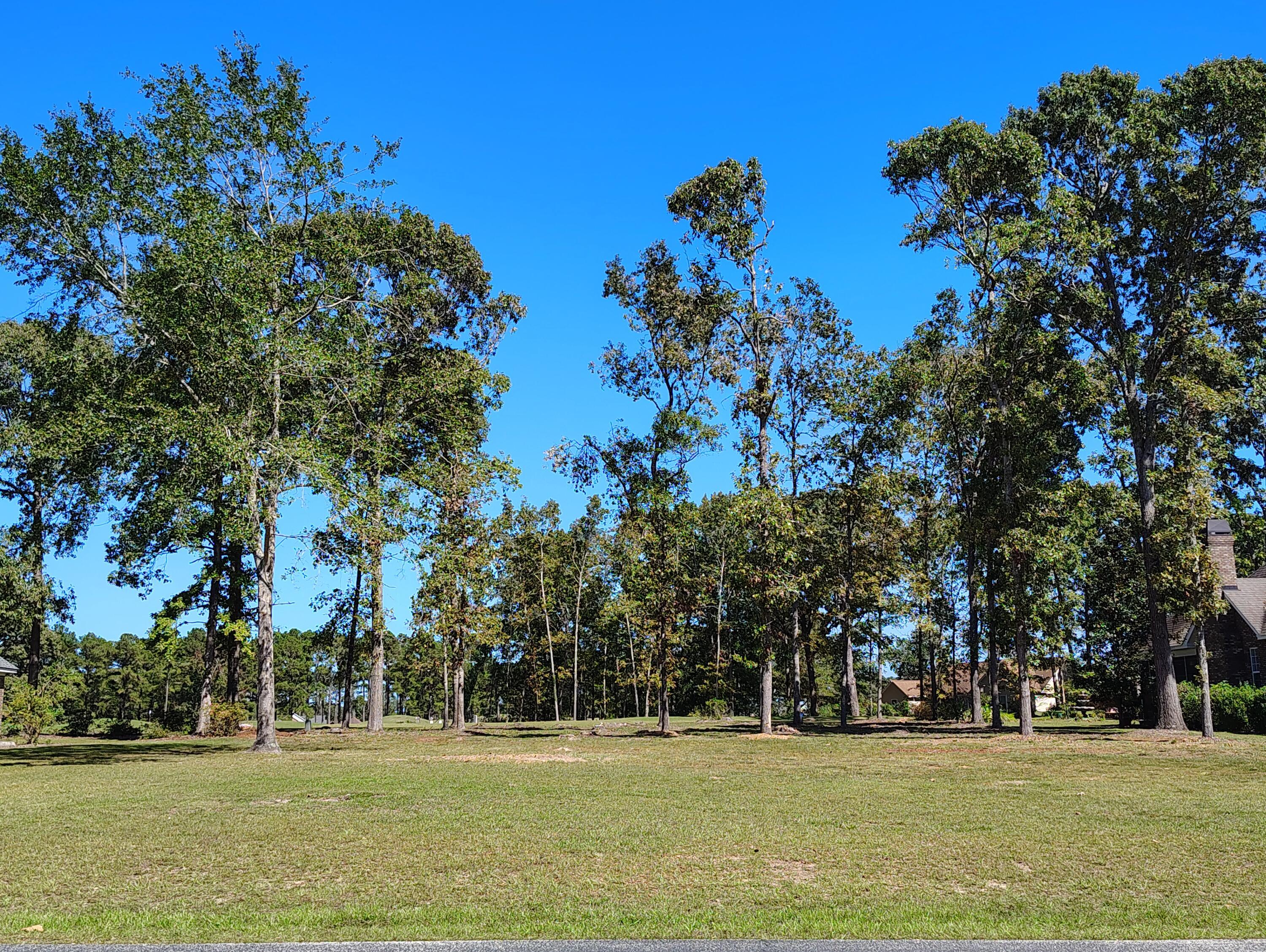 Image 2: IMG_20251003_134710014_HDR
