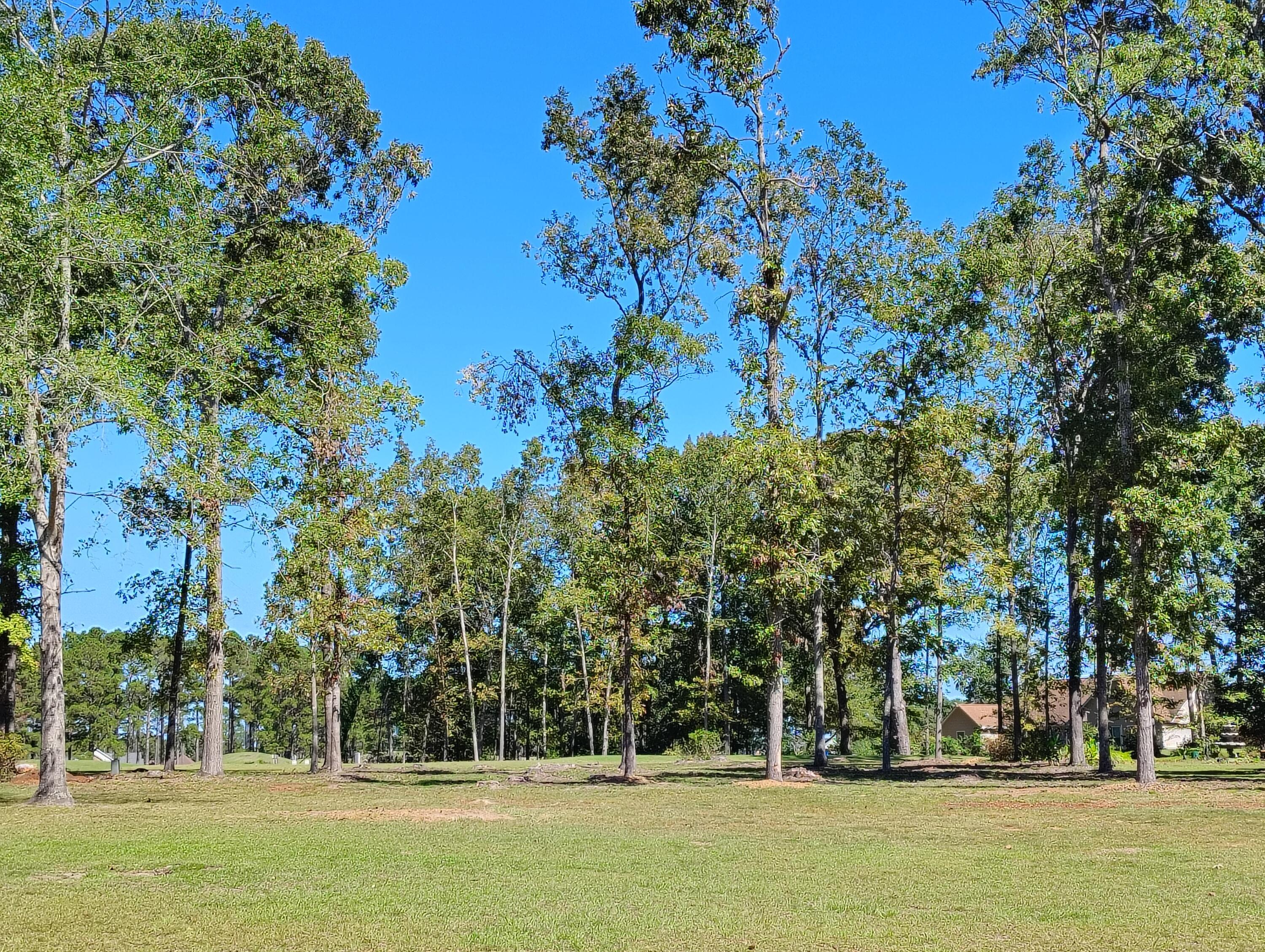 Image 3: IMG_20251003_134726767_HDR